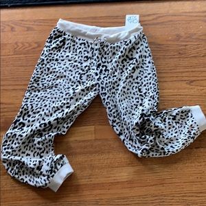 Chaser Cheetah Animal Print Sweatpants/Joggers